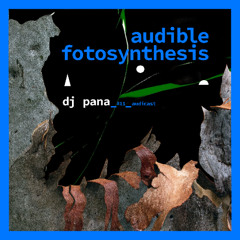 audible fotosynthesis series no 11 feat dj pana