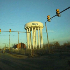 Alligator Bait Anecdote