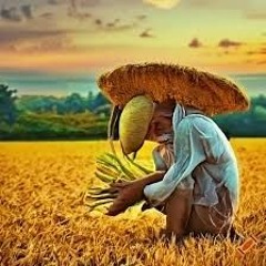84n91n9 m7 h34d 0n 4 w1nd0w 🚜🌾🧑🏼‍🌾🌱🌲 #CountrySideSuicide
