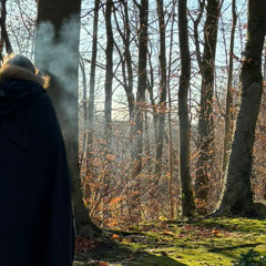 Teenager In Love - Dion Cover