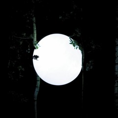 Ripperton - Echocity