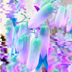 < F E E L > Chill Bangers Vol 16