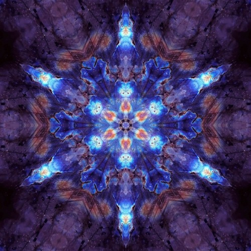 Lucid