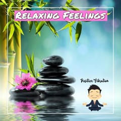 Positive Vibration Zen Music #9 Relaxing Feelings