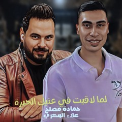 لما لاقيت في عنيك الحيرة - حمادة مصلح - علاء المصري حظ 2025