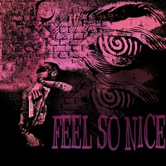 The Night - Feel So Nice