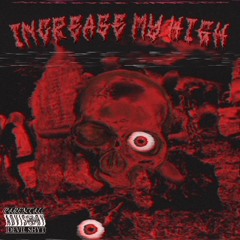 INCREASE MY HIGH (PROD. SKINNY J)