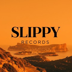 Slippy Records Intro (Live DJ Mix)