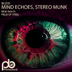Mind Echoes, STEREO MUNK - Field of Steel