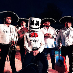 Fuerza Regida X Marshmello - HARLEY QUINN (C4LL U Remix)