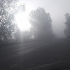 i wish i told you how i felt