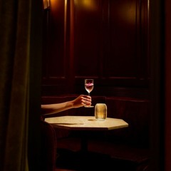 Speakeasy Mix (Stavroz, Lee Burridge, Hraach, Fulltone..)