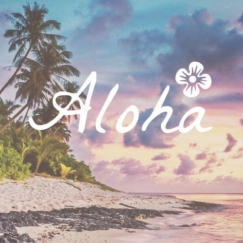 Sunset Groove set 25