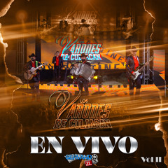 Paletas Internacional