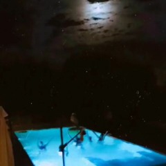Midnight bath party