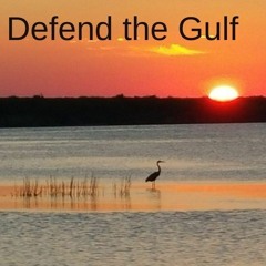 Defend the Gulf