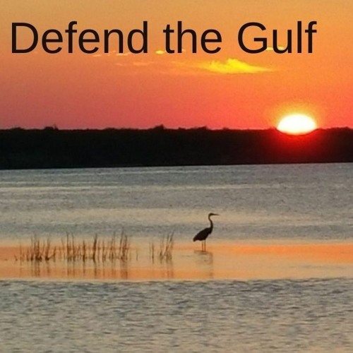 Defend the Gulf