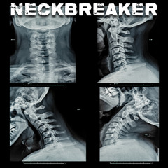 NeckBreaker