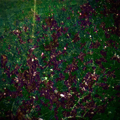 Seratona- Beers for breakfast (DeMo)