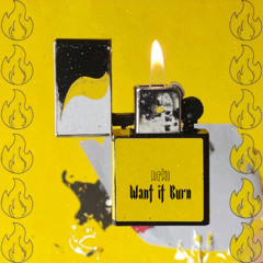NRKi - Want it Burn