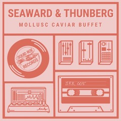 PREMIERE: Seaward Thunberg - Great Sample Sauce [Squid Roe Records]
