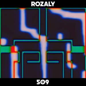 Dekmantel Mix 509 - Rozaly