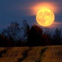 Hear What I Have to Say