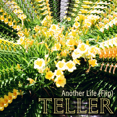 Another Life (Teller Flip)