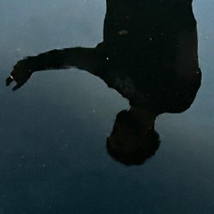 FINITO (prod. abel31 & 143)