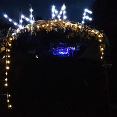 Steinmüller (Phunkit Records)@WMF 24.8.24