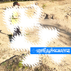 DistroKid Wheel of Playlist - 2