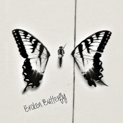 Broken Butterfly