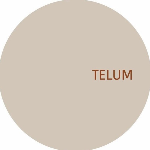 Premiere: B1 - Unknown - Untitled [TELUM008]