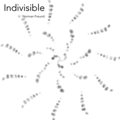 Indivisible - Part 1