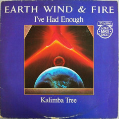 I've Had Enough Extended Dance Remix Djloops (1981)