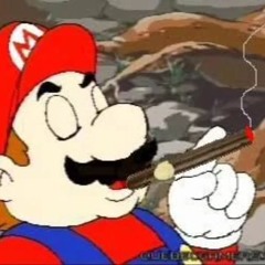 worlds coolest hotel mario remix