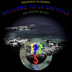 MIX STEPH x MAT’S SOUND - BIENVENUE AU ROBERT - #LACAPITALE - RMX DUBPLATE (RIDDIM BY MIKADO) [2022]