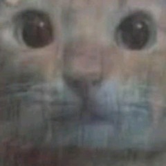 Todos Los Dias Sale el Sol / Hardcore Millenium - V . 13