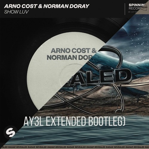 Dj Frog X Arno Cost & Norman Doray - Show Luv Without You (AY3L Extended Bootleg)