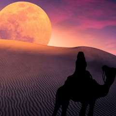 Tribe Equinox Spooky Forest Event - Organic/Trap/World