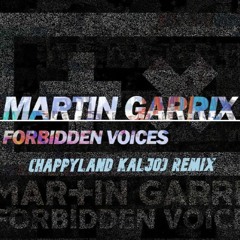 Martin Garrix - Forbidden Voices(HappyLand Kaljo)Remix
