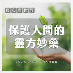 真心看世界20200225【保護人間的靈方妙藥】【祈禱的力量-德佩師父分享】