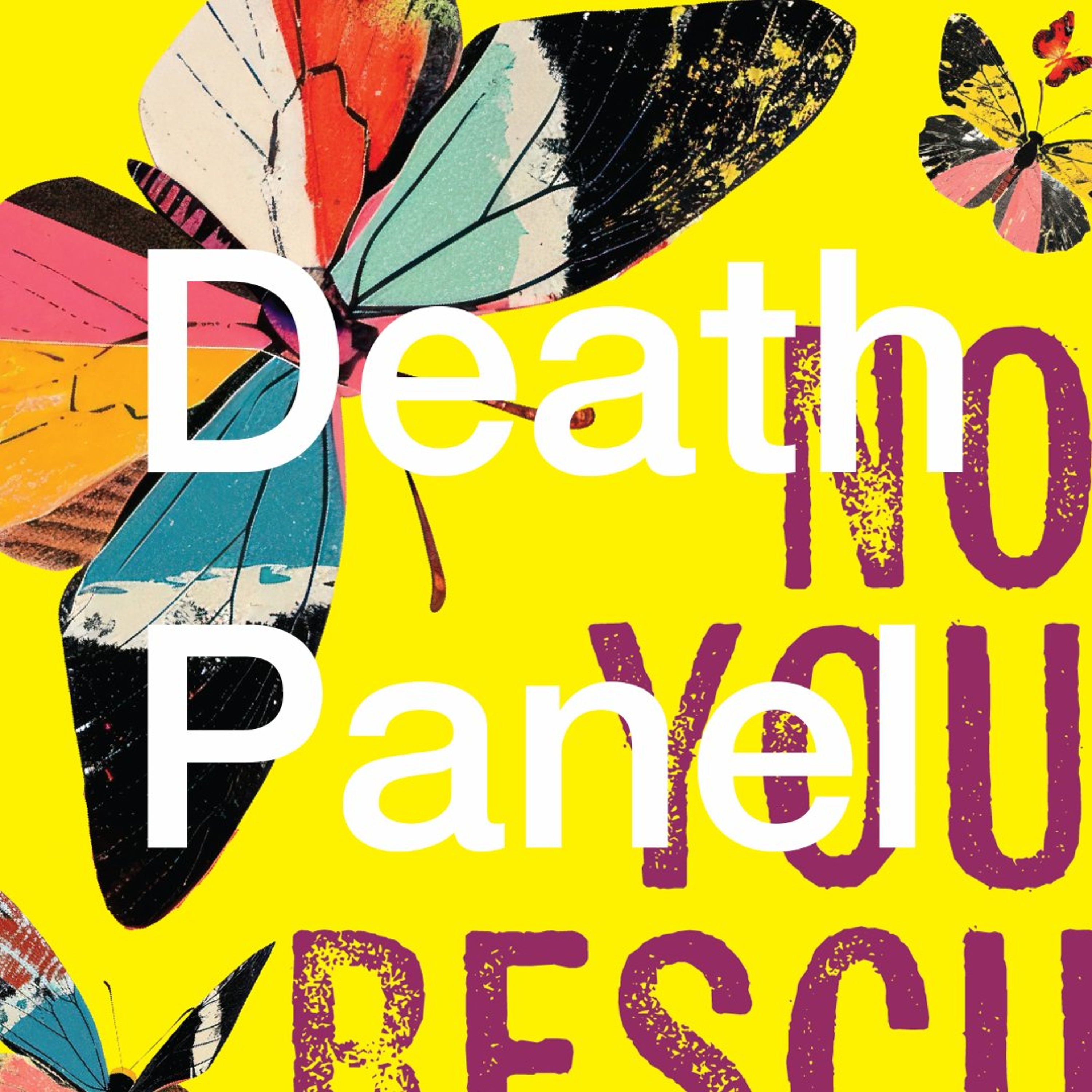 Not Your Rescue Project w/ Chanelle Gallant and Elene Lam