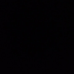 nocturnal:ocean:dweller