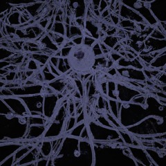 Guantes- Santiago Albarracin