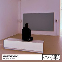 Guestmix 11/22 by Voice of User