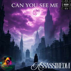 Can You See Me - AssassinEDM