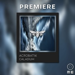 PREMIERE: Acrobatik - Caladium [Ciccada Records]