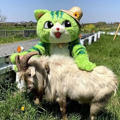 Section17-embossed prod kalel