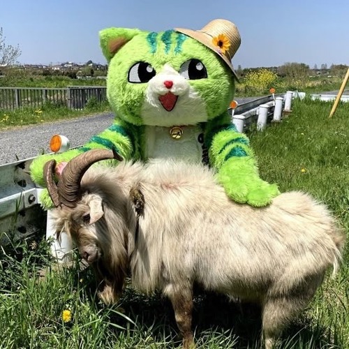 Section17-embossed prod kalel